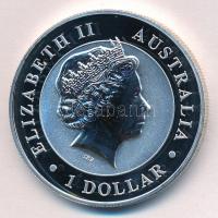 Ausztrália 2015. 1$ Ag "Ékfarkú sas" (1oz/0.999) T:PP
Australia  2015. 1 Dollar Ag "...