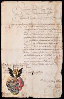 VÉDÉS ALATT! 1660 Hajdú János címerkérő folyamodványa I. Lipóthoz, megfestett címerképpel, ellenjegyzésekkel, latin nyelven, papír, foltos, szélein sérült