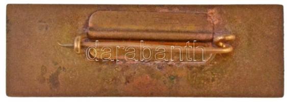 DN "Bíró" zománcozott fém jelvény (45x15mm) T:2