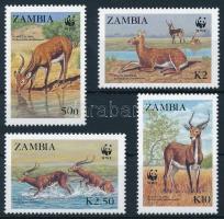 WWF: Víziantilop sor, WWF Black lechwe set