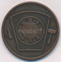 Amerikai Egyesült Államok 1903. 1p Br szabadkőműves zseton "Sanilac Chapter" T:2
USA 1903...