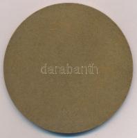 Iván István (1905-1968) 1966. "Szigetvár" Br plakett (80mm) T:2 
Hungary 1966. "Szig...