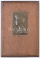 Patzó Pál (1886-1945) DN Balra néző női portré, Br plakett falapra erősítve, hátoldalán akasztó (plakett 140x90mm, fatábla: ~35x24mm) T:1-,2
