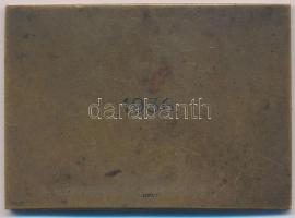 Vass Viktor (1873-1955) 1936. "A Magyar Turista Egyesület Dobogókői Vándordíja" Br emlékpl...