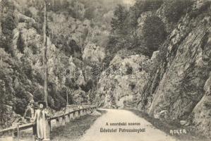1911 Petrozsény, Petrosani; Szurduk-szoros. Adler fényirda 1910 / Pasul Surduc / gorge