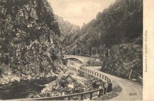 Szurduk-szoros, Pasul Surduc; Kanyarulat. Adler fényirda 1909 / road