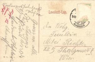 Déva, Deva; Megyeháza. W. L. 509. / county hall (fa)