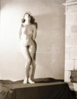 Női aktok, 6 db fotónegatív, 9×6 cm