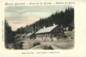 Bisztra, Bistra; Alsó telep. J. Hintz kiadása / Untere Colonie / Colonia din jos / lower colony (EK)