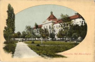 Szászváros, Broos, Orastie; Református Kun kollégium / Calvinist boarding school (EM)