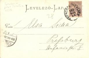 1900 Vrátna, Vágvölgy. Gansel Lipót 155. Dr. Pattantyus M. felvétele / Povazie, Vratna dolina / Váh ...