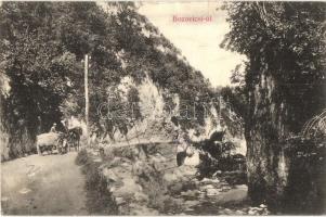 1912 Bozovics, Bozovici; út / road (EK)