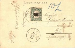 1907 Előpatak, Valcele; Bogdán ház. Gyulai Ferenc fényképész kiadása. Postabélyeg a hátoldalon / vil...