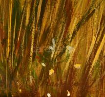 Szamosvári József (1931-): Balaton felvidék. Olaj, farost, jelzett, keretben, 60×80 cm