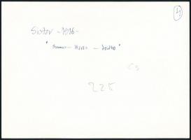 1916 Sistov, A Szamos, Kőrös és Leitha monitorok, az 1980-as években eredeti negatívról előhívott má...