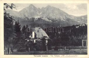 Tátralomnic, Tatranská Lomnica; Tulipán Villa / villa