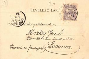 1900 Rozsnyó, Roznava; Rákóczy tér. Pauchly Nándor kiadása / square (fl)