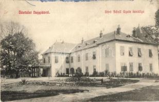 Nagyida, Velká Ida; Báró Schell Gyula kastélya / Schloss / castle
