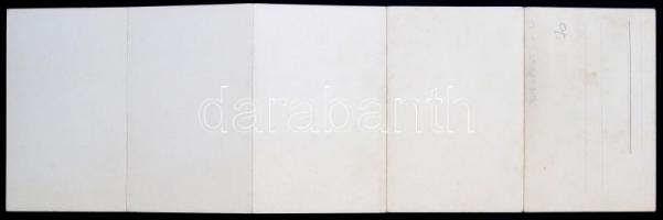 Budapest XI. Gellérthegy, Vár, Lánchíd, Erzsébet híd. 5-részes kihajtható panorámalap / 5-tiled fold...