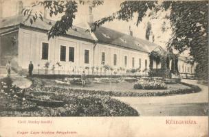 1911 Kétegyháza, Gróf Almásy kastély. Czigler Lajos kiadása (EK)