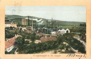 Vajdahunyad, Hunedoara; M. kir. vasgyár. Licker Viktor kiadása / iron works, factory (EB)