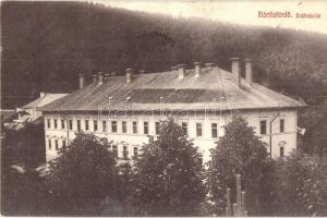 Bártfafürdő, Bardejovské Kúpele, Bardiov; erdő, Deák szálloda. Pelcz Lipót kiadása / forest and hotel