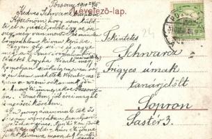 1910 Pozsony, Pressburg, Bratislava; Andrássy Gyula utca, Kereskedelmi és Iparkamara, hintó. W.L. Bp...