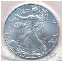 Amerikai Egyesült Államok 2002. 1$ Ag Amerikai Sas T:1-kis patina  USA 2002. 1 Dollar Ag American Eagle Bullion Coin C:AU small patina  Krause KM# 273