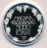 2008. 5000Ft Ag "Tokaji Történelmi Borvidék" T:PP 
Adamo EM219