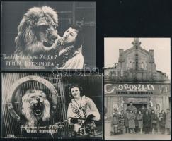 cca 1950 Irina Bugrimova (1910-2001) oroszlán szelídítő magyarországi látogatása, 3 db fotólap, 2 db aláírt, 9×13 cm