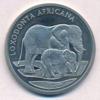 1986. 30 éves a WWF / Afrikai elefánt fém emlékérem HUGUENIN jelzéssel (38mm) T:1- (eredetileg PP)  1986. WWF - 30 years / African Elephant metal commemorative medal with HUGUENIN makers mark (38mm) C:AU (originally PP)