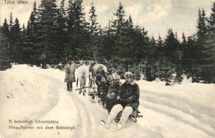 1912 Tátra, Tatry; A bobsleigh felvontatása lószánnal télen. Feitzinger Ede 1007. / Hinauffahren mit dem Bobsleigh / bobsleigh lifted by horse sled in winter