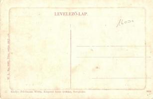 Beregszász, Berehove; Werbőczy tér, Zsinagóga, Polgári vendéglő, étterem, Mozgófénykép színház (mozi...