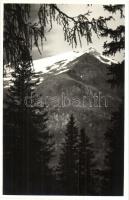 24 db RÉGI használatlan osztrák hegyi képeslap és fotó / 24 unused pre-1945 Austrian mountain postca...