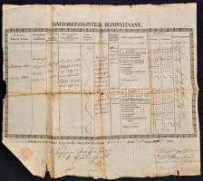 1850 Az érsekújvári tanítóképző intézet bizonyítványa, foltos, gyűrött