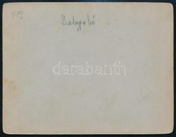 cca 1908 Dobogókői kilátó úri társasággal és tehénnel, kartonra kasírozott fotó, hátoldalon felirato...