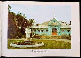 MÁV Járműjavító Üzem. Dunakeszi. 1926-1976. (Jubileumi emlékalbum.) Szerk.: Szücs Béla, Koromán Lász...