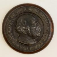 Institutum de Gruby Dávid nominatum / Hungaria Miskolciensis, fém fali plakett, jelzés nélkül, fa talapzaton, d: 12,5 cm