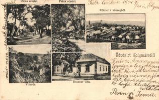 1904 Solymár, utca, patak, Brunner villa, vízesés + ESZTERGOM-BUDAPEST 218. SZ. mozgóposta