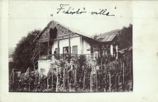 1912 Sümeg, Fehérkő Villa Ha Isten velünk senki ellenünk felirattal, szőlőskert. photo