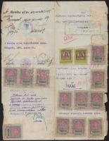 1924 Bittner János Hentesárú különlegességek gyárának kérelme 245.000K okmánybélyeggel