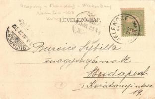 Velence, Szapáry-Manndorff-Wickenburg-Nemeskéri Kiss kúria, kastély, villa. Klökner P. kiadása