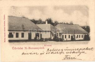 1901 Nagyborosnyó, Nagyborozsnyó, Borosneu Mare; Fő utca, fodrász üzlet. Müller Gyula utódai kiadása / main street, hairdressers shop (EK)