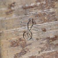 cca 1938 Mannlicher tárkeret, horogkeresztes beütővel, 7,5×3,5×1,5 cm /

cca 1938 Mannlicher en bl...