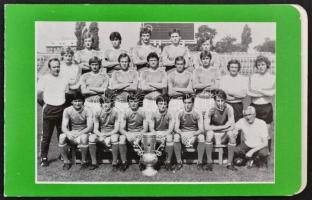 Ezermester, katonai, MHSZ, sport, repülés 1970-es évek 33 db kártyanaptár