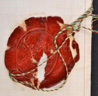 cca 1897 Központi Jéggyártó Rt iratának hiteles angol fordítása 2x 50kr magyar és 1SH angol okmánybé...