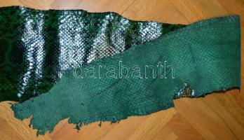 Óriás kígyó bőre / Giant snake skin 230 cm