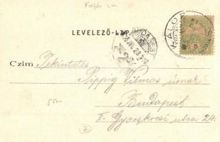 1905 Kálóz, Református templom, Községháza