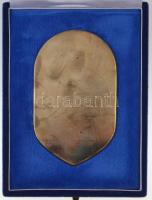 ~1990. "Police - ORFK Rendészeti Szervek Kiképző Központja" zománcozott plakett, tokban (6...