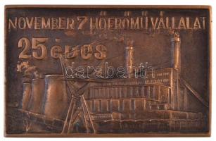 1976. "November 7 Hőerőmű Vállalat - 25 éves / Gázturbinás csúcserőmű" kétoldalas Br plake...